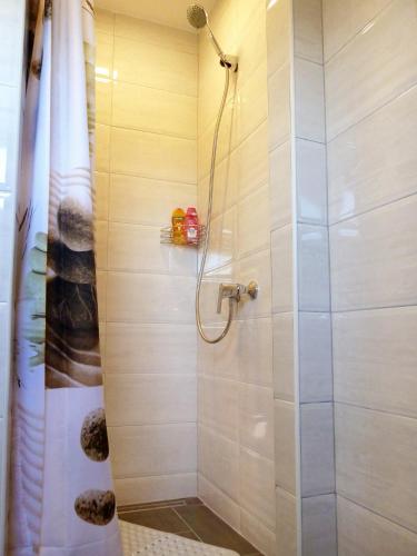 a bathroom with a shower with a glass door at Apartment Petra i Nikola in Seliste Dreznicko