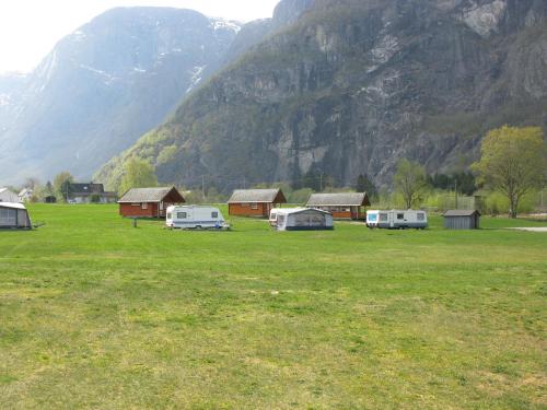 een groep kamelen geparkeerd in een veld voor een berg bij Sæbø Camping in Eidfjord