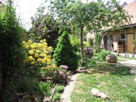 a garden with flowers and trees and a house at Půjčovna a ubytování pod Pálavou in Šakvice