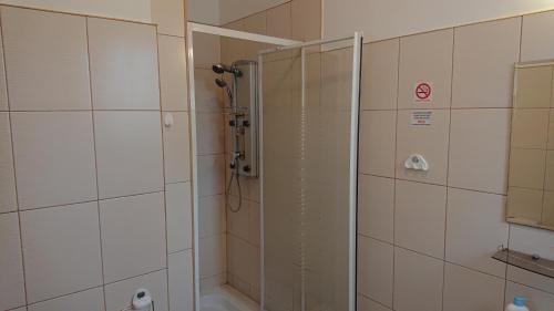 チェホチネクにあるApartamenty i Pokoje Willa Dafneのバスルーム(ガラスドア付きのシャワー付)