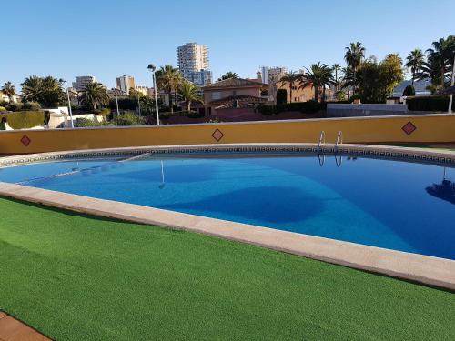 a large swimming pool with a green lawn around it at Apartamentos Olympia Center in La Manga del Mar Menor