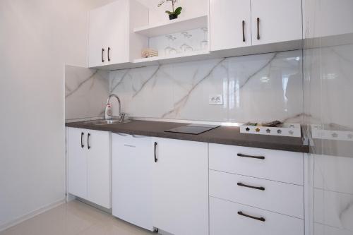 Η κουζίνα ή μικρή κουζίνα στο Apartmani Vila Kosa