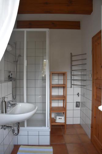 a bathroom with a sink and a shower at Wohnung 2 Landhaus II in Pieverstorf