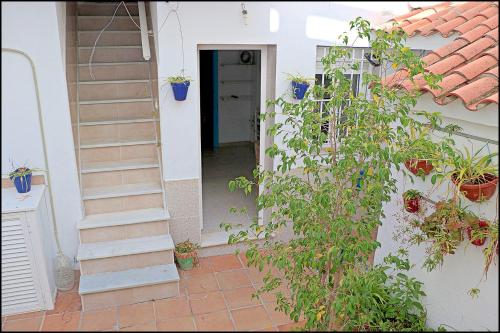 Vonkajšia záhrada v ubytovaní Apartamento cerca de la playa de Conil