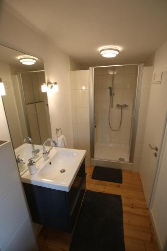 y baño con lavabo y ducha. en Schicke Ferienwohnung für 2, en Niederkalbach