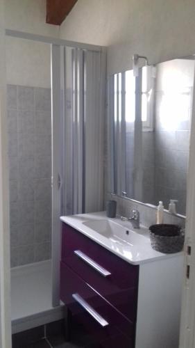 a bathroom with a sink and a mirror and a shower at deux chambres dans villa in Lapeyrouse-Fossat