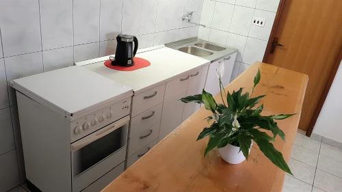 Apartment Smokvica – Photos 4