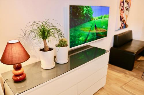 a living room with two potted plants on a tv stand at Ferienwohnung Seestern in Steinhude, ruhig gelegen , 2 Schlafzimmer, 2 Bäder, Freies WLAN in Wunstorf