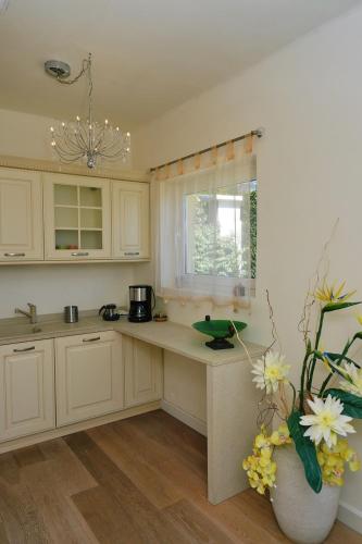Η κουζίνα ή μικρή κουζίνα στο Luxury Apartment Mare