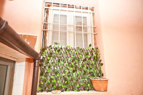 The heart of Trastevere