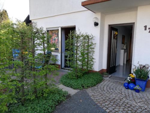 una puerta delantera de una casa con árboles y plantas en Annettes Ferienwohnung, en Michelstadt