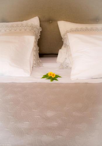 a flower is sitting on top of a bed at Suíte privada no meio da natureza serrana. in Teresópolis