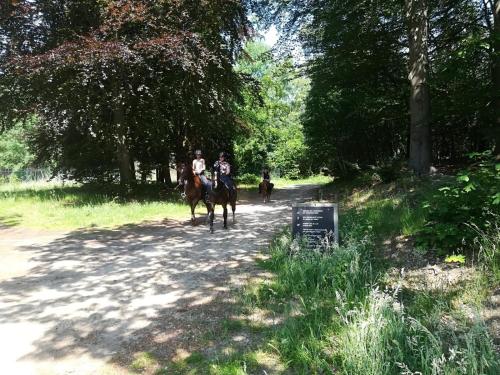 two people riding horses down a dirt road at Erve Het Roolvink Boerderij Appartementen 40-50 M2 in Enschede