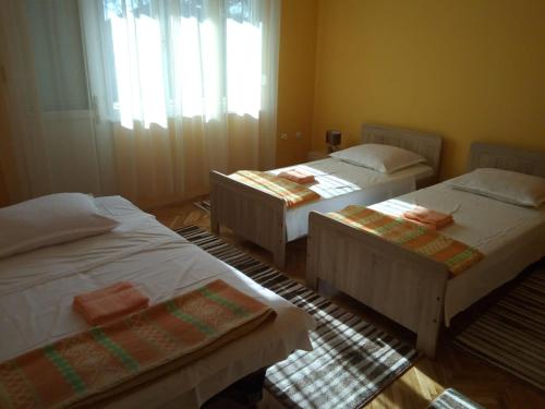 Apartment Singa