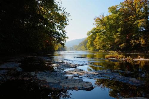 a river with trees and reflections in the water at Snug Oak Hut with a view on a Welsh Hill Farm in Brecon