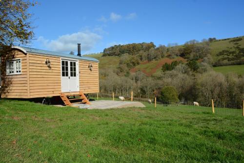 a wooden tiny house in a field with sheep at Snug Oak Hut with a view on a Welsh Hill Farm in Brecon