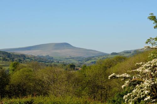 a view of a hill in the distance at Snug Oak Hut with a view on a Welsh Hill Farm in Brecon