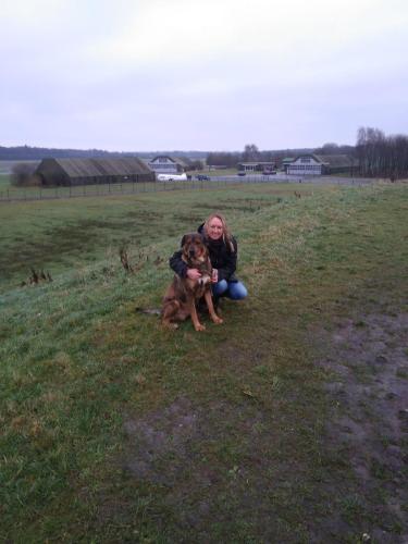 a woman sitting in a field with a dog at Erve Het Roolvink Boerderij Appartementen 40-50 M2 in Enschede