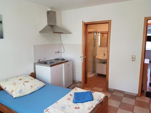 a room with a bed and a sink and a kitchen at Gästezimmer auf dem Campingplatz Konz in Konz