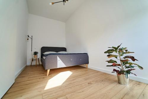 1 dormitorio con 1 cama y una maceta en Apartamenty Muzyczna 14, en Suwałki