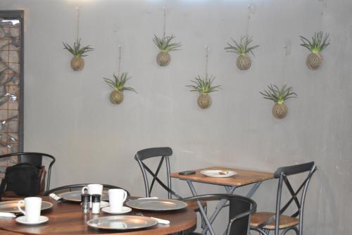 a table and chairs with potted plants on the wall at Quiver Inn Guesthouse in Keetmanshoop