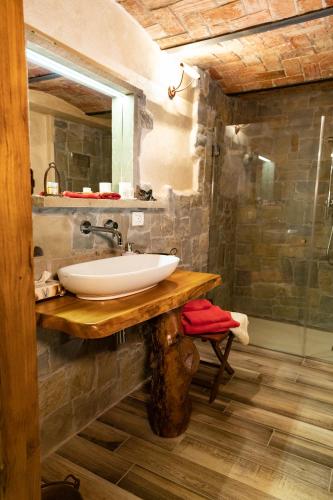 ein Badezimmer mit Waschbecken und Dusche in der Unterkunft Agriturismo La Verena in Vesime
