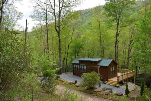 a small cabin in the middle of a forest at The Junction in Robbinsville