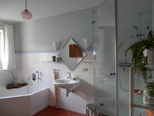 ein Bad mit einem Waschbecken und einer Dusche in der Unterkunft Tausendschön in Alfter
