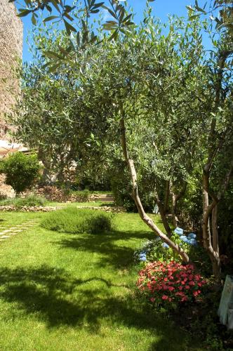 a garden with a tree and flowers in the grass at Locanda Delle Mura Anna De Croy in Magliano in Toscana
