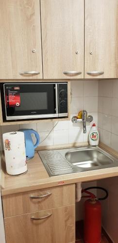 a kitchen counter with a sink and a microwave at Penzion MAR in Hradec Králové