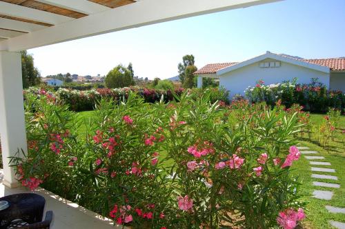 a garden with pink flowers in a yard at Hotel Budoni Beach in Budoni