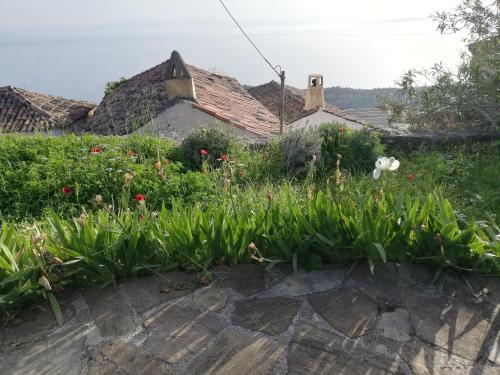 a garden with flowers in front of a house at The traditional hause with the best view in Leonidion