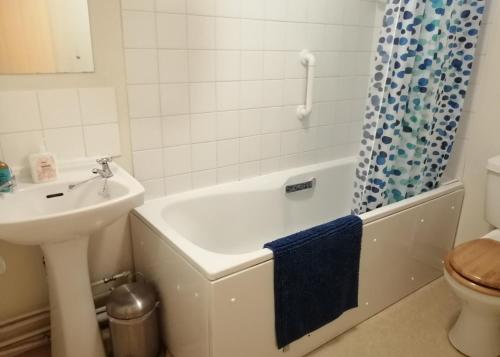 a bathroom with a tub and a sink and a toilet at Coldstream Cottage in Dale