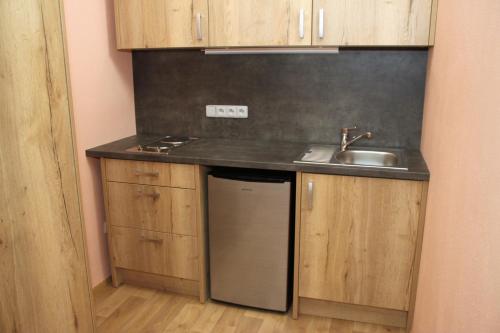 a small kitchen with a sink and a dishwasher at Penzion Daníž in Chvalovice