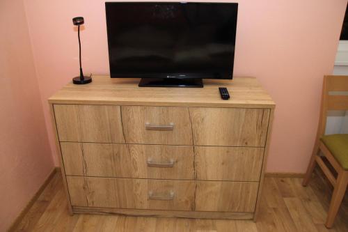 a television sitting on top of a wooden dresser at Penzion Daníž in Chvalovice