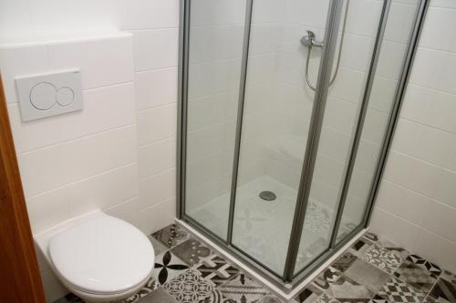 a bathroom with a shower and a toilet at Penzion Daníž in Chvalovice