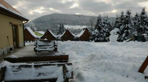 a yard covered in snow next to a house at Bobrówka in Solina
