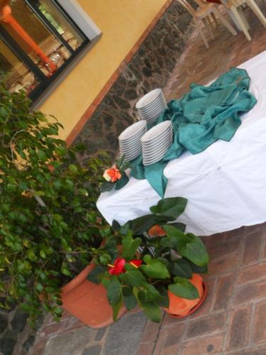 a group of plates and flowers on a table at Cascina Concetta in Pizzo