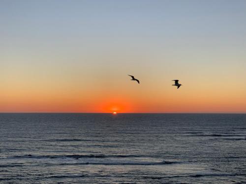 two birds flying over the ocean at sunset at Casa da Avó Lurdes in Póvoa de Varzim