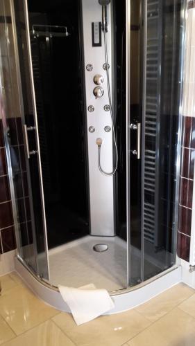 prysznic ze szklaną obudową w łazience w obiekcie Ubytování LILA w mieście Mikulov