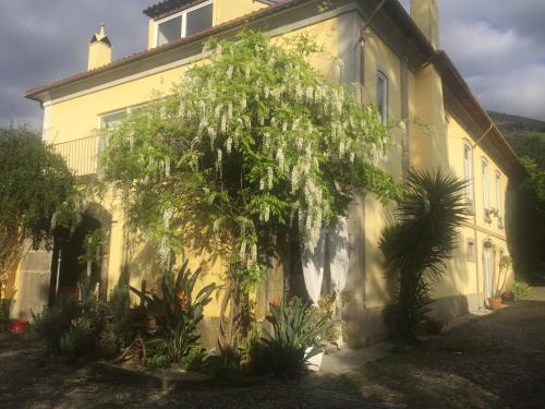 a house with a tree in front of it at Casa Magnólia in Braga