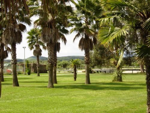 a park with palm trees in the grass at Le Banana's Hotel in Aléria