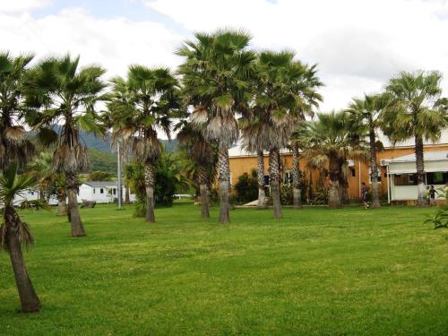 a park with palm trees in front of a building at Le Banana's in Aléria