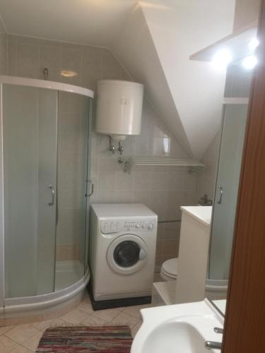ein Badezimmer mit einer Waschmaschine und einem WC in der Unterkunft Apartma Jelenček in Moravske-Toplice