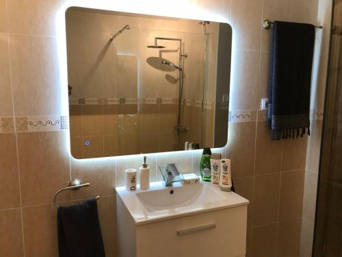 a bathroom with a sink and a large mirror at Apartamento Atico Guanchita in Tazacorte