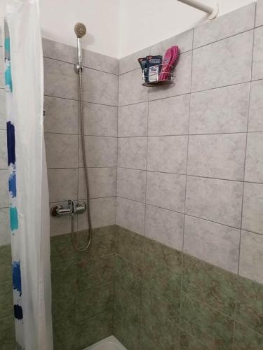 a bathroom with a shower with a toilet at Apartmani Spomenka in Seline