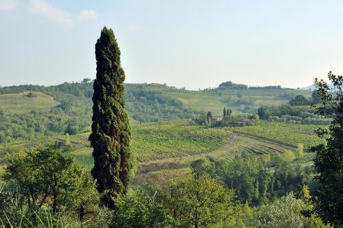Gallery image of AGRITURISMO IL PINO - APPARTAMENTO CIPRESSO in Gambassi Terme