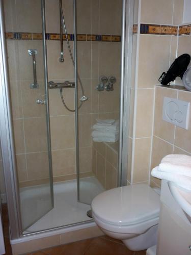 a bathroom with a shower and a toilet at Nordseeblick in Husum