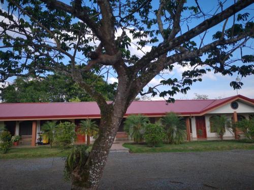 a building with a red roof and a tree at Hotel SueñoReal RioCeleste in Rio Celeste