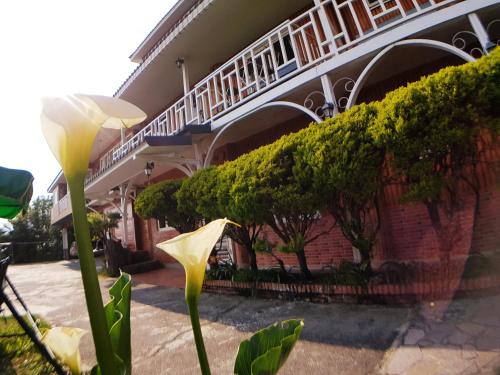 Zahrada ubytování Shan Shui-Yuan Vege Guest House